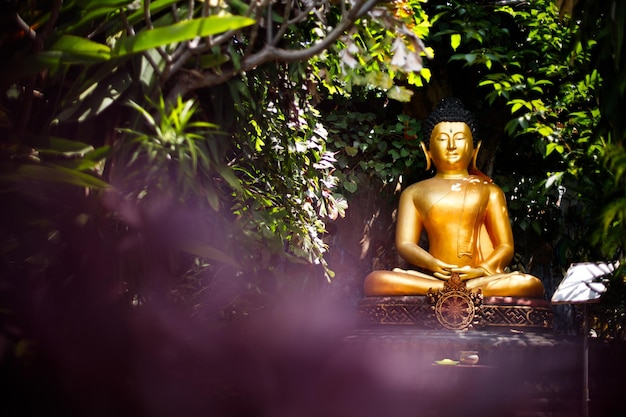 Statua di Buddha con gli occhi chiusi nella giungla