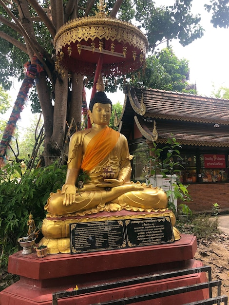 Statua di Buddha d'oro