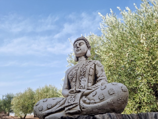 Statua di Buddha in natura con il cielo sullo sfondo