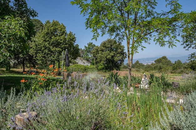 Statua di Buddha in un giardino con fiori in una giornata di sole