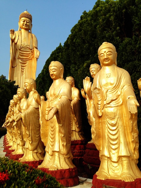 Statua di Buddha nel tempio