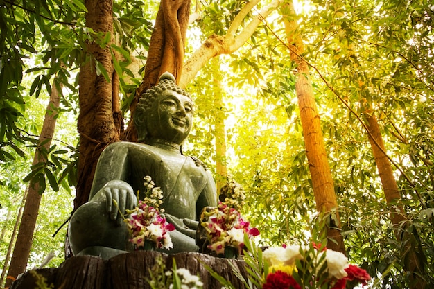 Statua di Buddha nella foresta