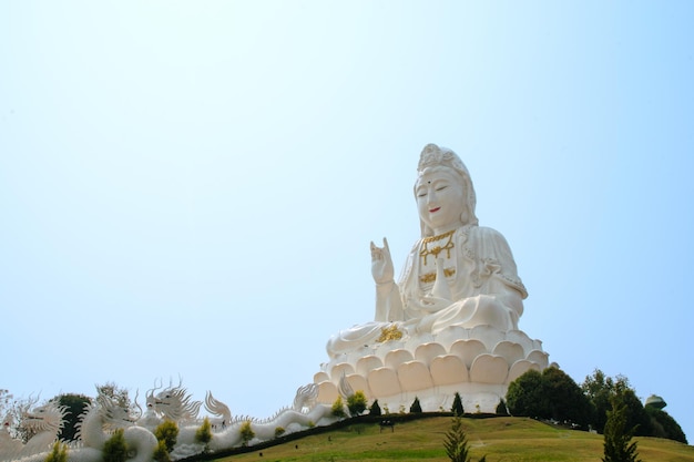 Statua di Guanyin nel tempio cinese wat Hyua Pla Kang a Chiang Rai