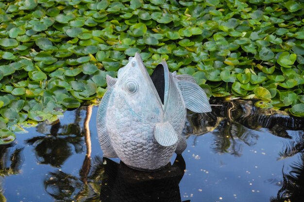 Statua di pesce in metallo su uno stagno scuro