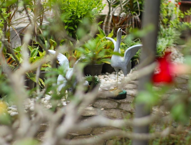 statua di un cigno in cerca di cibo nel giardino sfocatura bokeh