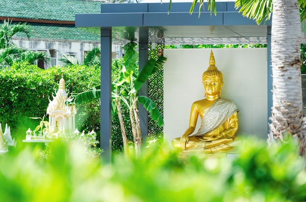 Statua dorata di Buddha e casa per gli spiriti nel cortile sullo sfondo del fogliame verde
