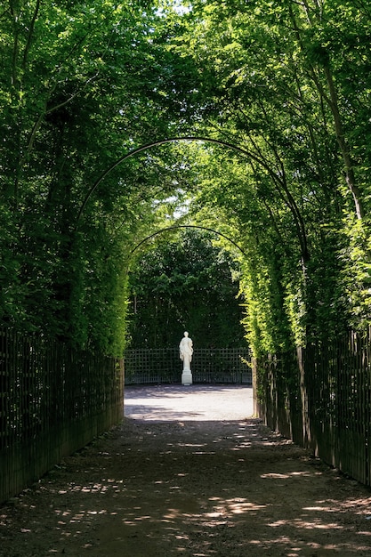 Statua nel giardino di Versailles circondato da alberi