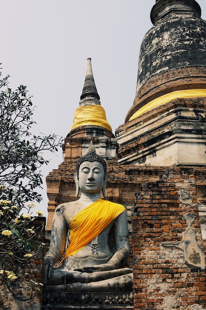 Statue antiche del Buddha poste sui muri di mattoni nei templi tailandesi.