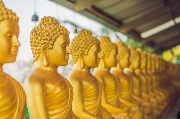 Statue di Buddha faccia d'oro buddha thailandia asia