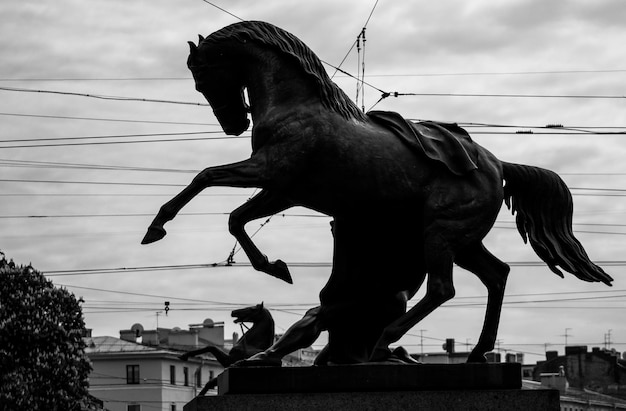 Statue di cavalli contro gli edifici della città