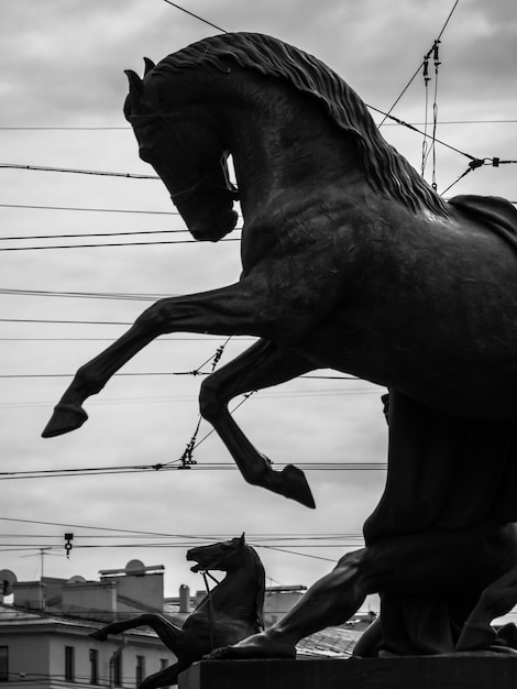 Statue di cavalli contro gli edifici della città
