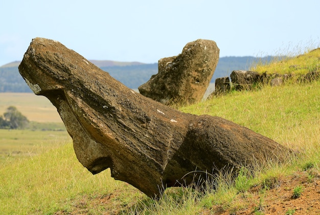 Statue Moai enormi non finite abbandonate sul vulcano Rano Raraku, Isola di Pasqua, Cile