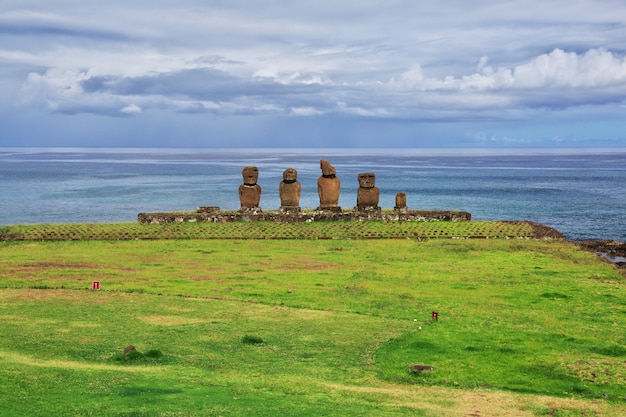 Statue Moai in Ahu Tahai sull'isola di pasqua Cile