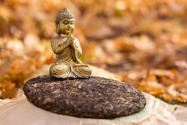 Statuetta di Buddha sullo sfondo del fogliame autunnale Tè cinese crudo Puerh pressato