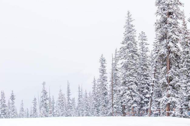 Stazione sciistica alla fine della stagione dopo la tempesta di neve in Colorado.