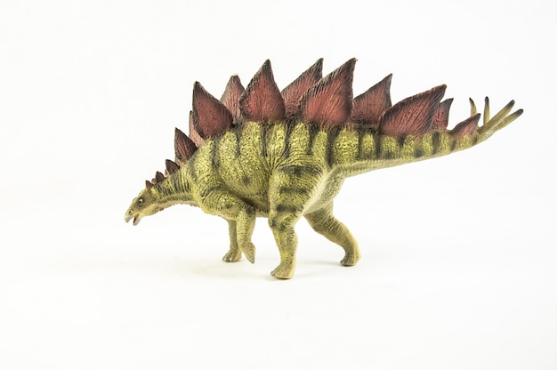 Stegosaurus, dinosauro.