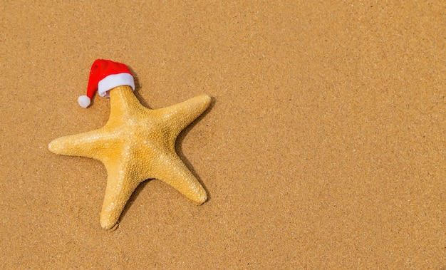 Stella di mare Babbo Natale sulla spiaggia