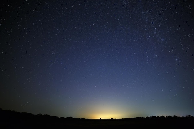 Stella polare nel cielo notturno su un punto luminoso di inquinamento luminoso.