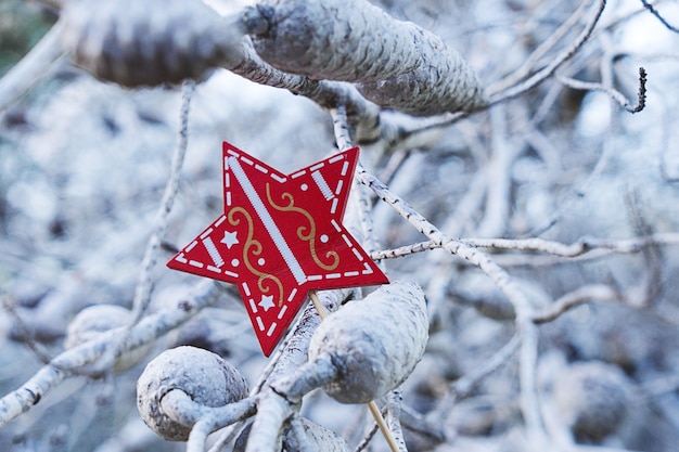 Stella rossa di Natale nei rami dell&#39;albero