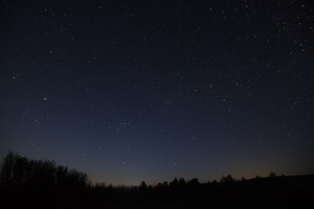 Stelle del cielo notturno. Via Lattea della galassia dell'universo