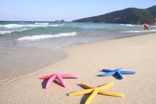 Stelle marine colorate sulla spiaggia in estate