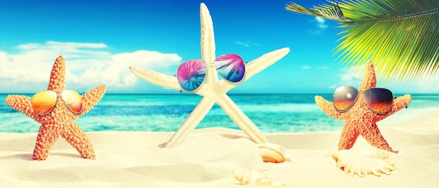 Stelle marine con occhiali da sole sulla spiaggia soleggiata Sfondo vacanze estive