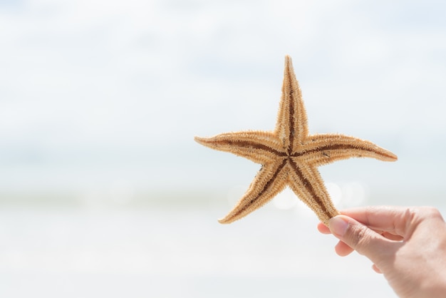 Stelle marine della tenuta della mano della donna sopra il mare per il concetto di vacanza estiva.