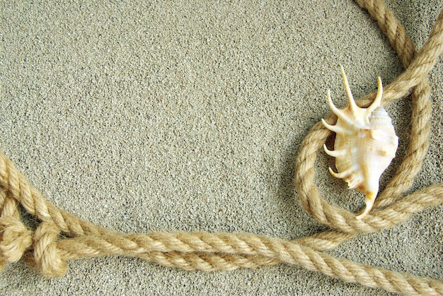 Stelle marine e conchiglie in corda sulla sabbia