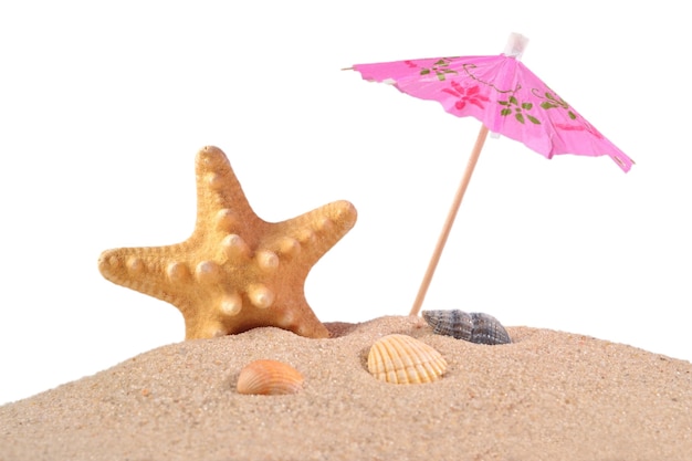 Stelle marine e conchiglie in spiaggia di sabbia su sfondo bianco