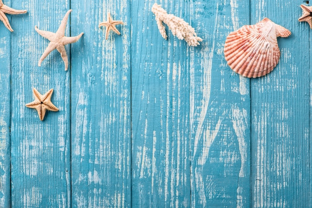 Stelle marine e conchiglie sul tavolo