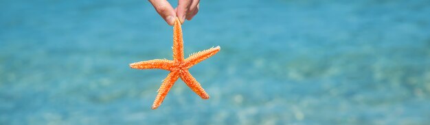 Stelle marine sulla spiaggia nelle mani di un uomo.