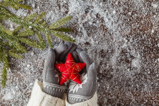 stelle rosse di Natale in mani della ragazza