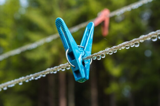 Stendibiancheria in plastica con molletta e gocce di rugiada riflesso di alberi in gocce d'acqua alberi sfocati su sfondo verde