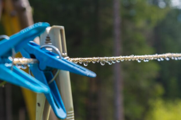 Stendibiancheria in plastica con molletta e gocce di rugiada riflesso di alberi in gocce d'acqua alberi sfocati su sfondo verde