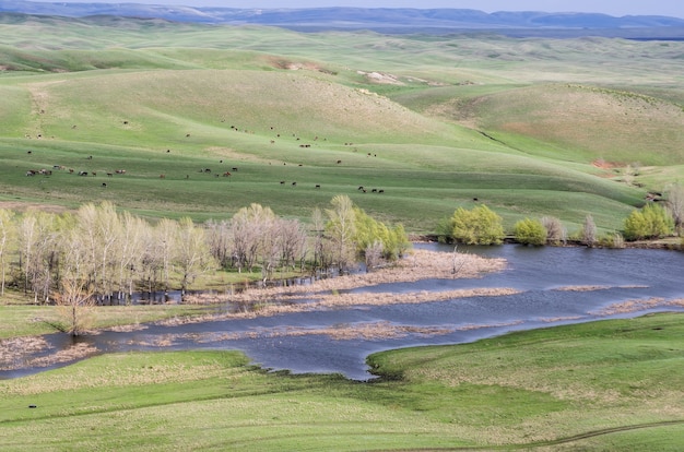 Steppa collinare in primavera fotografata in Russia nella regione di Orenburg nel distretto di Saraktashsky