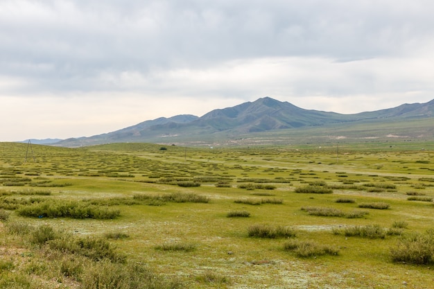 Steppa mongola sullo sfondo di un cielo nuvoloso, bellissimo paesaggio. Mongolia