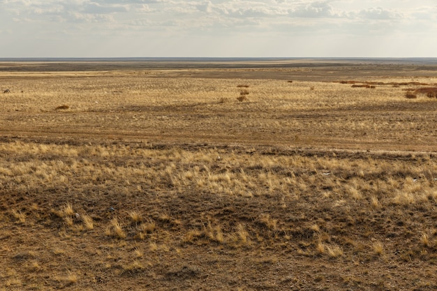 Steppe infinite del Kazakistan erba secca nella steppa