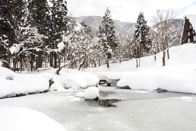 Sterlina congelata con albero e terreno coperti di neve.