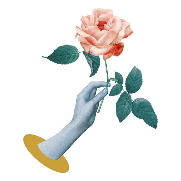 Sticker png a sfondo trasparente con la mano che tiene la rosa
