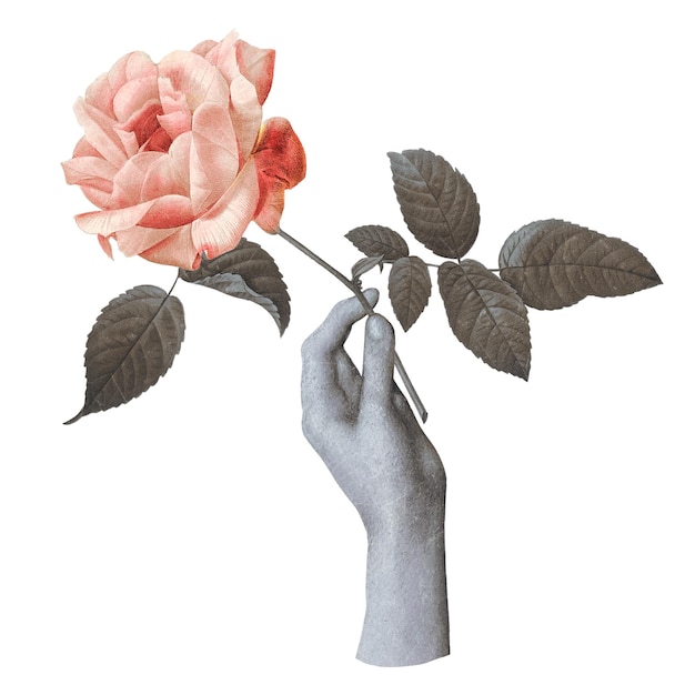 Sticker png a sfondo trasparente con la mano che tiene la rosa