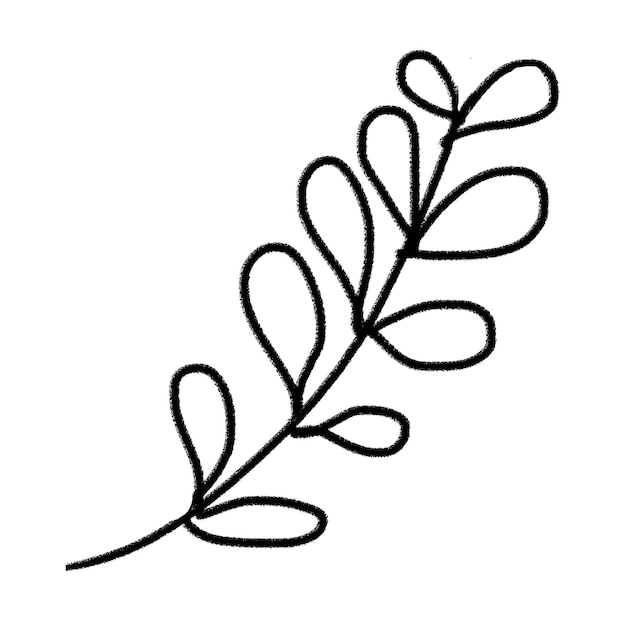 Sticker png di foglia a sfondo botanico trasparente