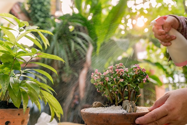 Stile di vita dell'uomo asiatico e attività all'aperto a casa. Giardinaggio domestico nel solo giardino botanico.