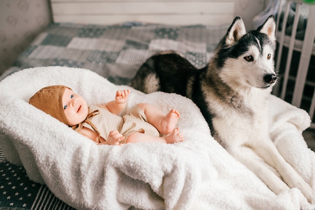 Stile di vita soft focus indoor ritratto di neonato sdraiato nel passeggino sul letto insieme con cucciolo husky Piccolo bambino e adorabile amicizia cane husky. Adorabile bambino divertente che riposa con l'animale domestico.