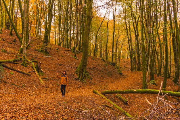 Stile di vita, una giovane bruna in una giacca gialla che cammina lungo il sentiero nel bosco in autunno. Foresta di Artikutza a San Sebastin, Gipuzkoa, Paesi Baschi. Spagna