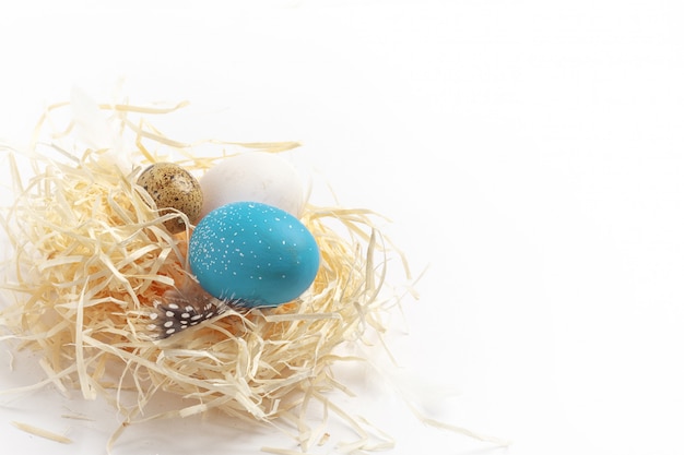 Still life di uova, Pasqua ggs sull'erba secca