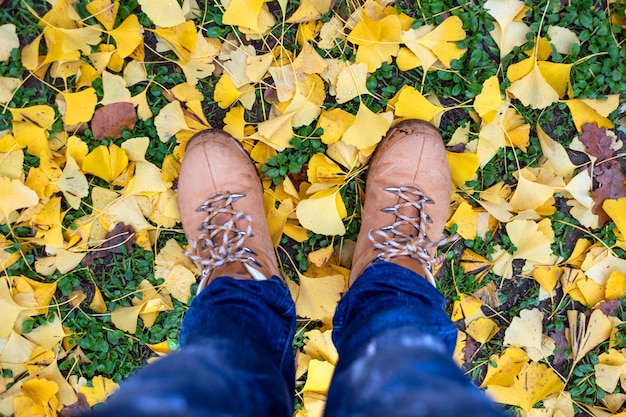 Stivali casual unisex con foglie colorate cadute d'autunno.