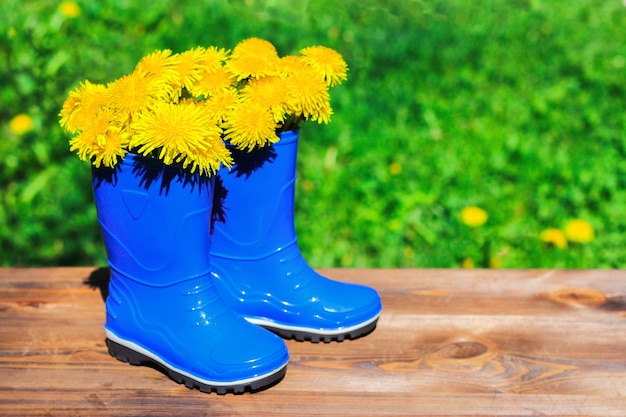 Stivali da pioggia blu per bambini con denti di leone gialli all'interno su tavola di legno e sfondo sfocato del giardino