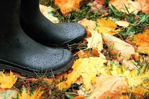 Stivali di gomma neri sulle foglie di acero arancione cadute Concetto di tempo piovoso autunnale