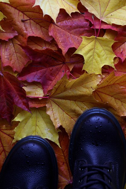 Stivali marroni in autunno caddero foglie rosse gialle e arancioni Sfondo autunnale in arrivo