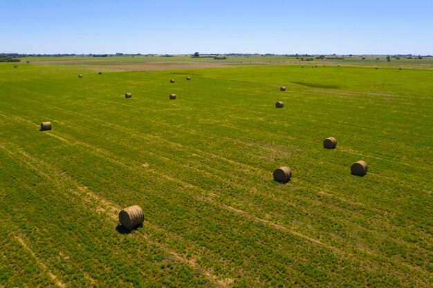 Stoccaggio di balle di erba nella campagna di La Pampa PatagoniaArgentina